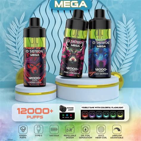 12000 Puffs TASTEFOG MEGA Rechargeable Disposable Vape With Refillable