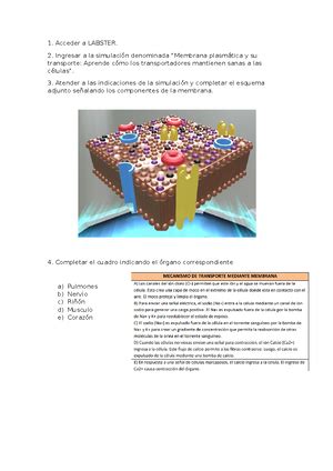 EC4 Ética Resumen Etica y Responsabilidad social universitaria