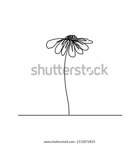 Continuous Line Simple Daisy Flower Chamomile Stock Vector Royalty