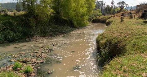 Avanza La Descontaminaci N Del R O Bogot