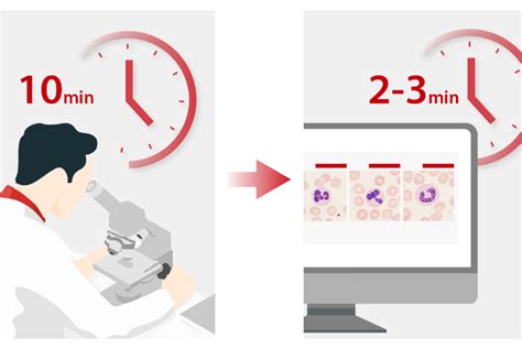 Hemabook Chapter 10 How Does A Digital Morphology System Help Labs To