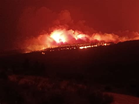 Son Ya 700 Hectáreas Las Arrasadas Por Los Incendios Declarados En