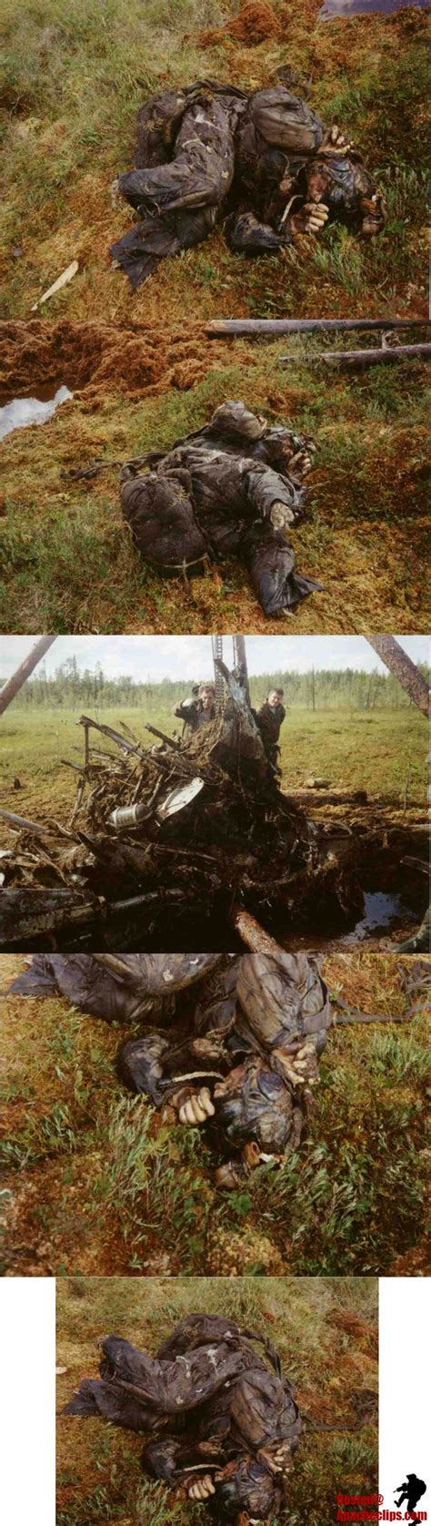 WW2 russian pilot body found preserved in bog | AK Rifles