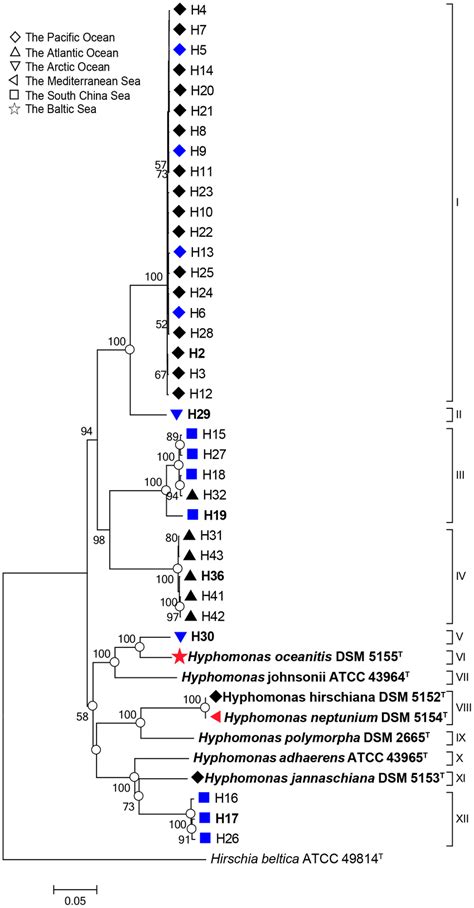 Phylogenetic Tree Based On Concatenated Housekeeping Genes Percentage