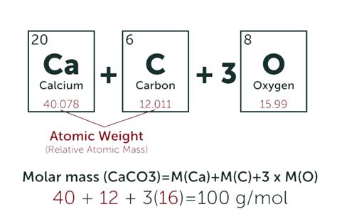 Dna Rna Molecular Weight Calculator Blog Dandk