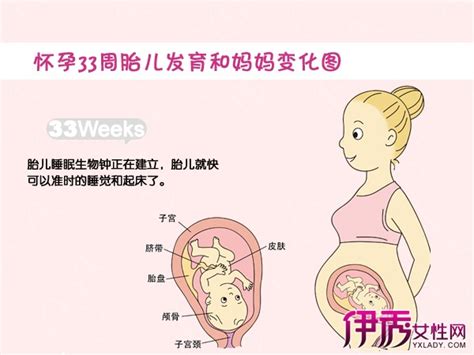 【胎儿发育 】【图】怀孕十个月胎儿发育 怀孕十个月妈妈的变化5伊秀亲子