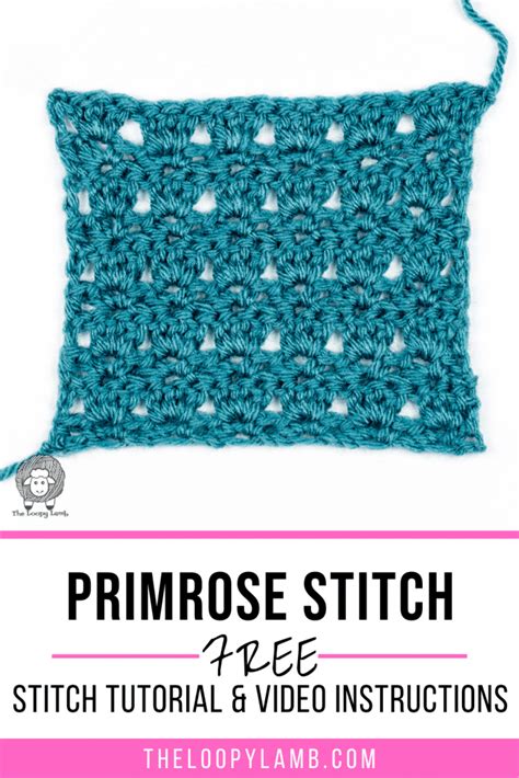 How To Crochet The Primrose Stitch Tutorial The Loopy Lamb