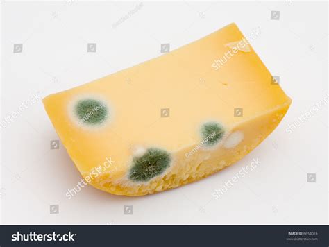 Mold On Cheese Stock Photo 6654016 Shutterstock