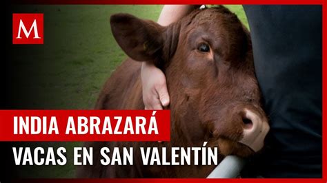 India Pide A La Gente Que Abrace Vacas En San Valent N Youtube