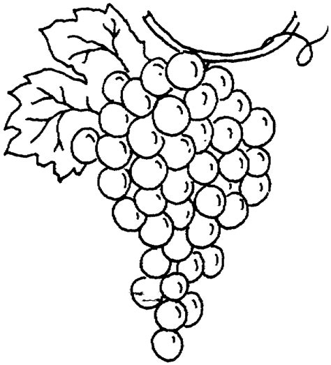 Grapes Coloring Pages Best Coloring Pages For Kids