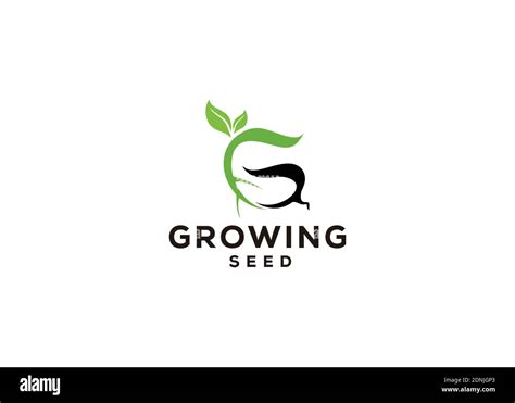 Growing Seed Logo