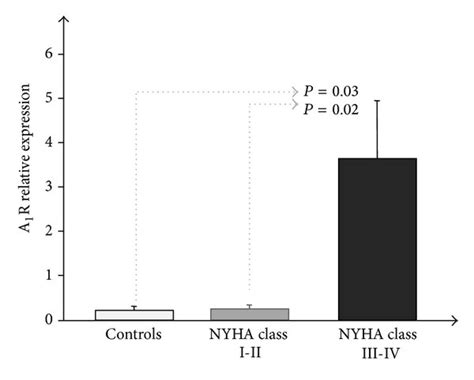 A A1r B A2ar C A2br And D A3r Mrna Expression Measured By Download Scientific