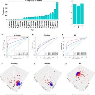 Construction And Validation Of The Immunerelated Risk Signature A