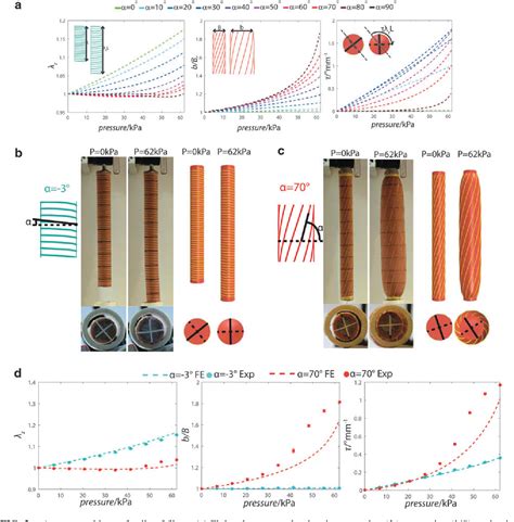 Figure From Mechanical Programming Of Soft Actuators By Varying Fiber