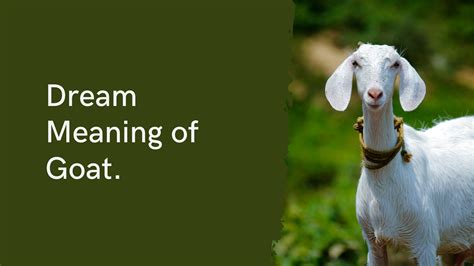 Dream Meaning Of Goat Meltblogs