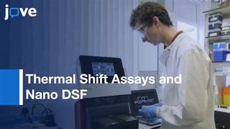 Stability Screens For Thermal Shift Assays And Nano Dsf Protocol