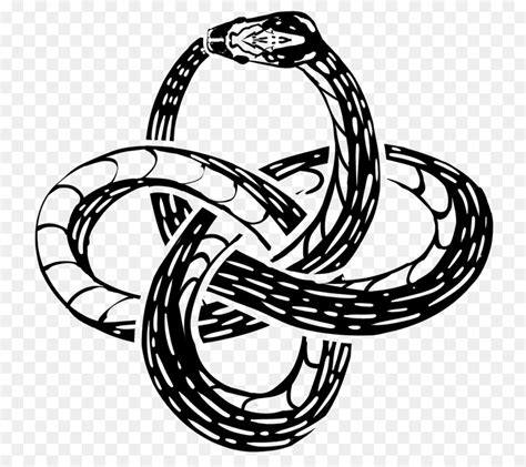 Ouroboros Serpente Desenho Png Transparente Gr Tis