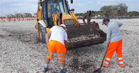 Civitanova L Assessore Cognigni Replica All Iniziativa Ripuliamo L