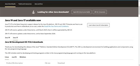 Installing the Java Development Kit | Codtronic Technologies Limited