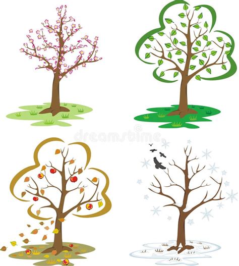 Four Seasons Trees Royalty Free Stock Images Image