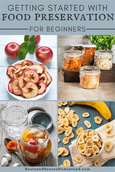 Beginners Guide To Canning And Preserving Artofit