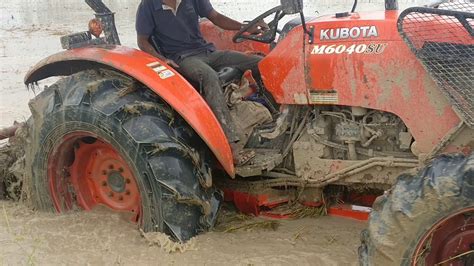 Amazing Tractor Kubota M6040 SU In Rice Field Best Actions Equipment