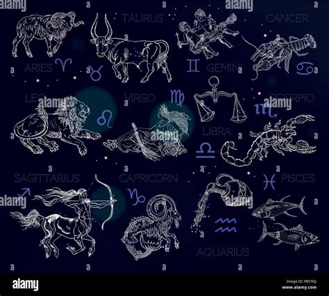 Constelaciones Del Zodiaco Fotograf As E Im Genes De Alta Resoluci N