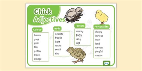 Chick Adjectives Word Mat Ks Writing Lehrer Gemacht