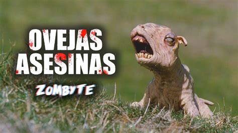 Resumen Ovejas Asesinas Black Sheep Youtube