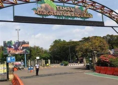 Taman Margasatwa Ragunan Sepi Pengunjung Di Hari Pertama Tahun 2023