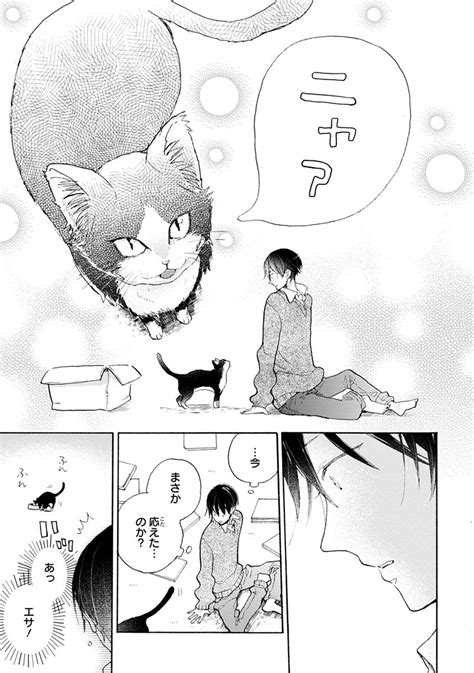 Page 3 3 猫の名前を決めることに。亡き母に昔読んでもらった物語からヒントを得る／同居人はひざ、時々、頭のうえ。⑥ ダ・ヴィンチweb