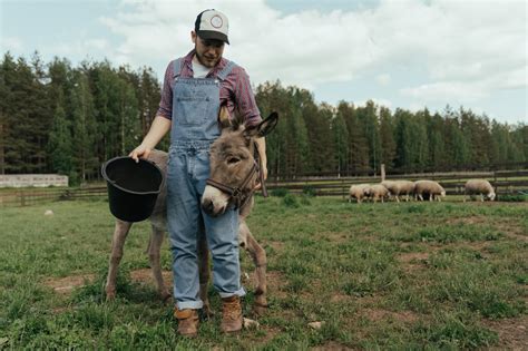 Avocat Droit Rural Exploitation Agricole Drouot Avocats