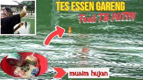 Essen Gareng Adun Mancing Feat Umpan Tb Putih Prestasi Uji Coba Di Pmc