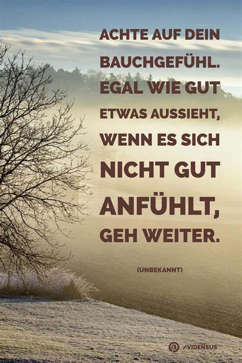 Zitate Spruche Weisheiten Bauchgefuhl Lebensweisheiten Herz Und