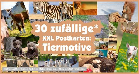 Postkartenpaket Tiere 30 wunderschöne XXL Postkarten