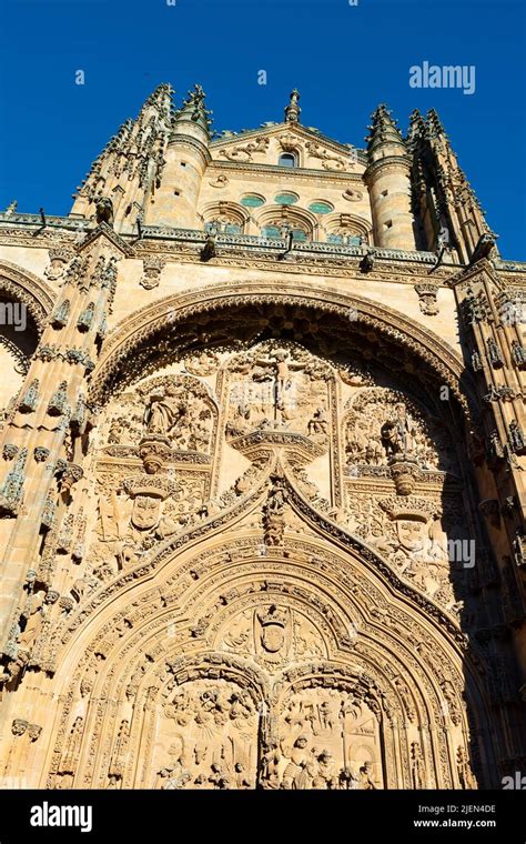 Details On The Facade Of The Cathedral In Salamanca Stock Photo Alamy