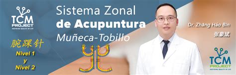 Curso Online Del Sistema Zonal De Acupuntura Muñeca Tobillo Nivel 1 Y