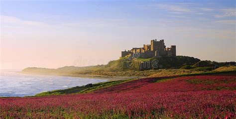 Castillo De Bamburgh Northumberland Foto De Archivo Imagen De