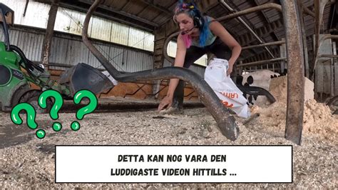 Kan Vara Den Luddigaste Videon Hittills Youtube