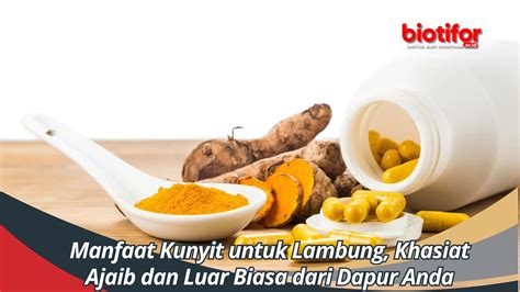 Manfaat Kunyit Untuk Lambung Khasiat Ajaib Dan Luar Biasa Dari Dapur Anda