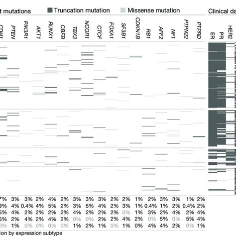 Significantly Mutated Genes And Correlations With Genomic And Download Scientific Diagram