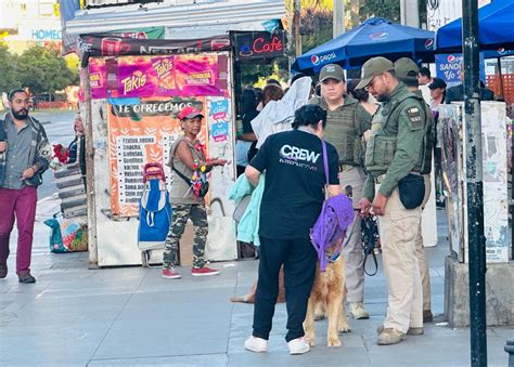 M S De Dos Mil Fiscalizaciones Y Detenidos Arrojan Servicios