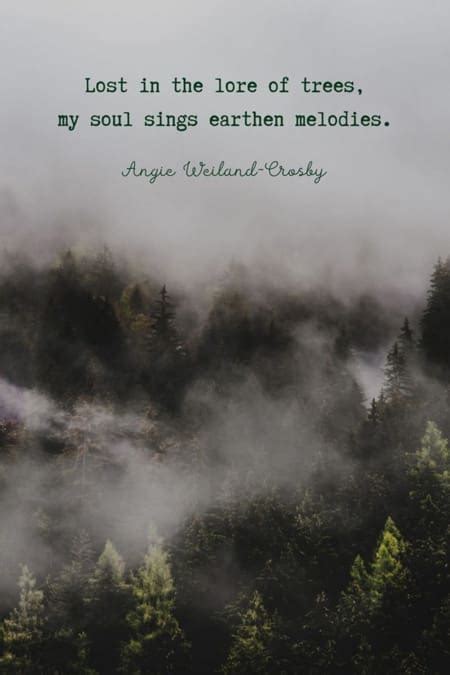 Forest Quotes Angie Weiland Crosby