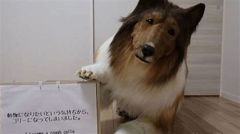 Así Es Su Vida Secreta Mitad Perro Mitad Hombre