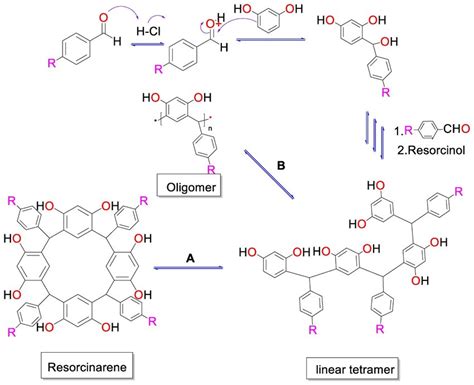 Formation Of Cyclic Tetramer Route A Or Oligomers Route B