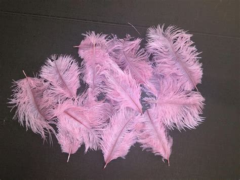 Ostrich Prime Feathers Uk Finest Quality Jaffe