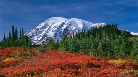 Where to See Gorgeous Fall Foliage in Washington State