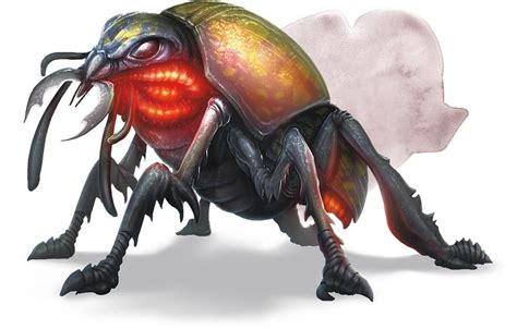 Escarabajo De Fuego Beetle Dungeons And Dragons Fantasy Creatures