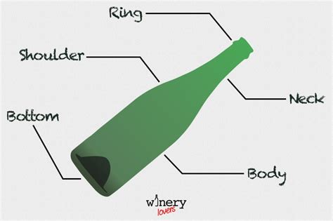 Wine bottle shapes: why are they so different? | WINERY LOVERS