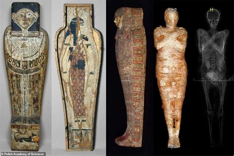 World's First Pregnant Ancient Egyptian Mummy has been Discovered ...